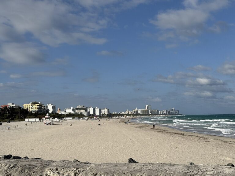 Coconut Grove Outdoors: 4 Places for a More Scenic Miami Day