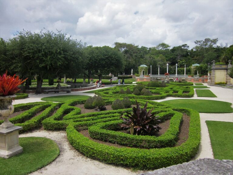 6 Places to Explore in Coconut Grove for a Better Feel for Miami