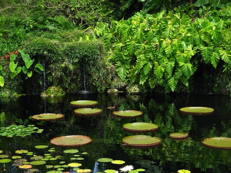 2 Places to Explore in Allapattah for a Better Feel for Miami