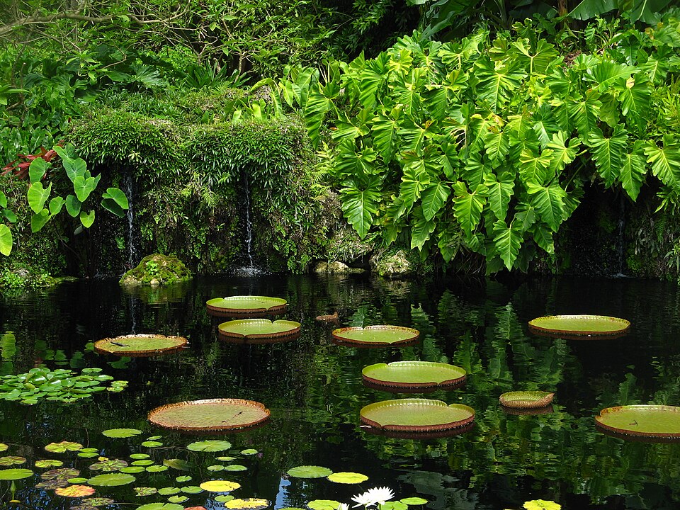 2 Places to Explore in Allapattah for a Better Feel for Miami