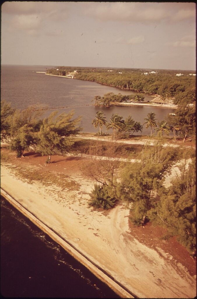 Matheson Hammock Park