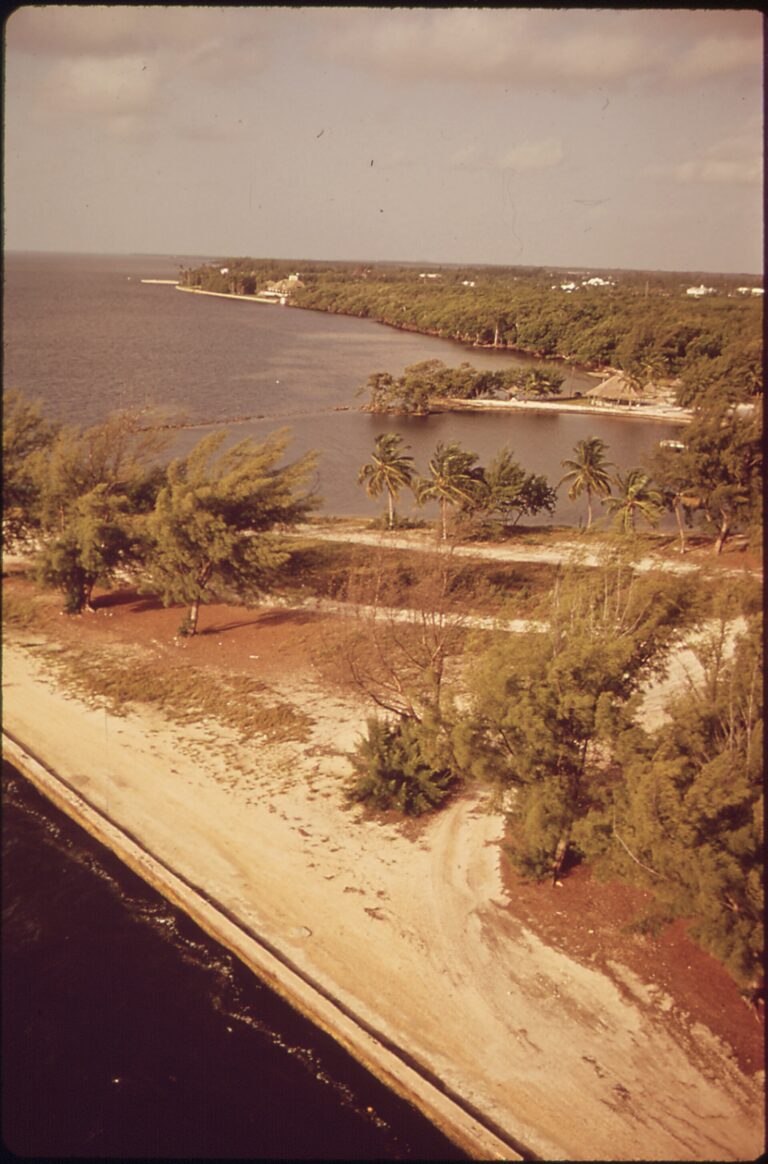 Matheson Hammock Park