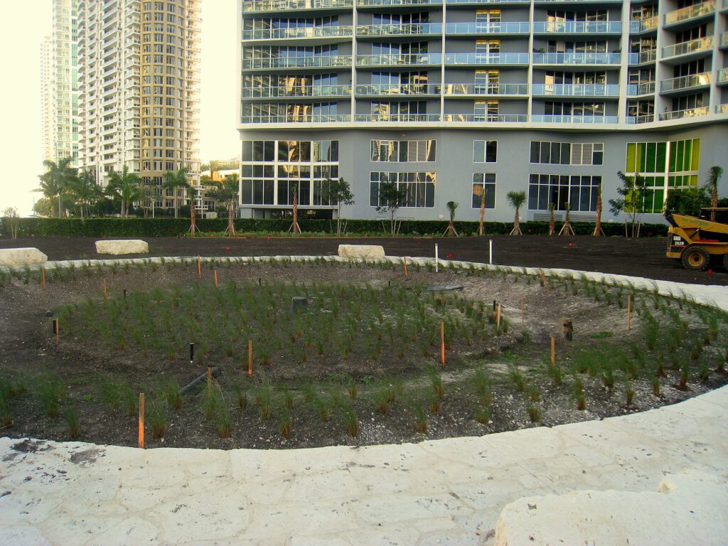 Miami Circle