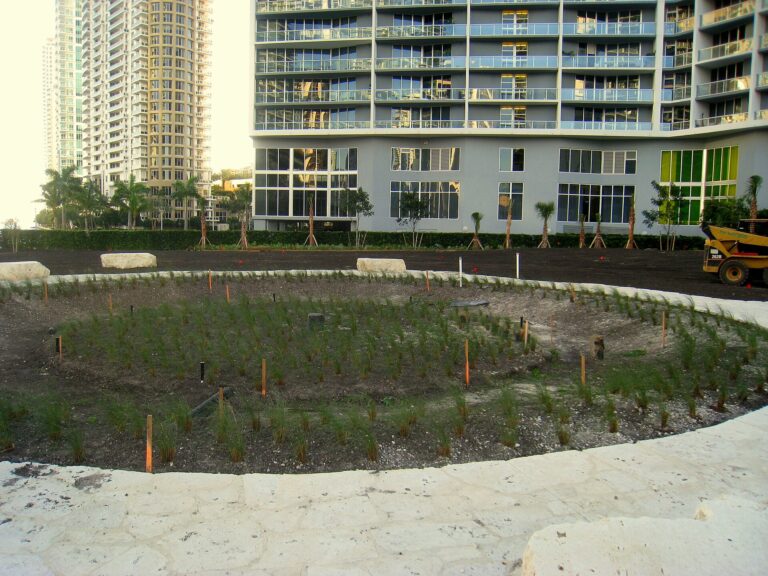 Local Flavor in Brickell: 3 Places That Help Tell the Story