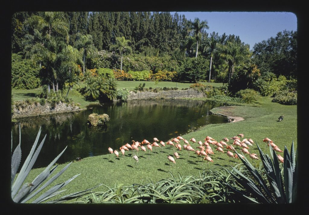 Pinecrest Gardens