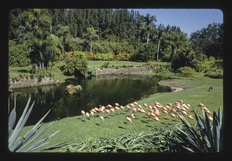 Pinecrest Gardens